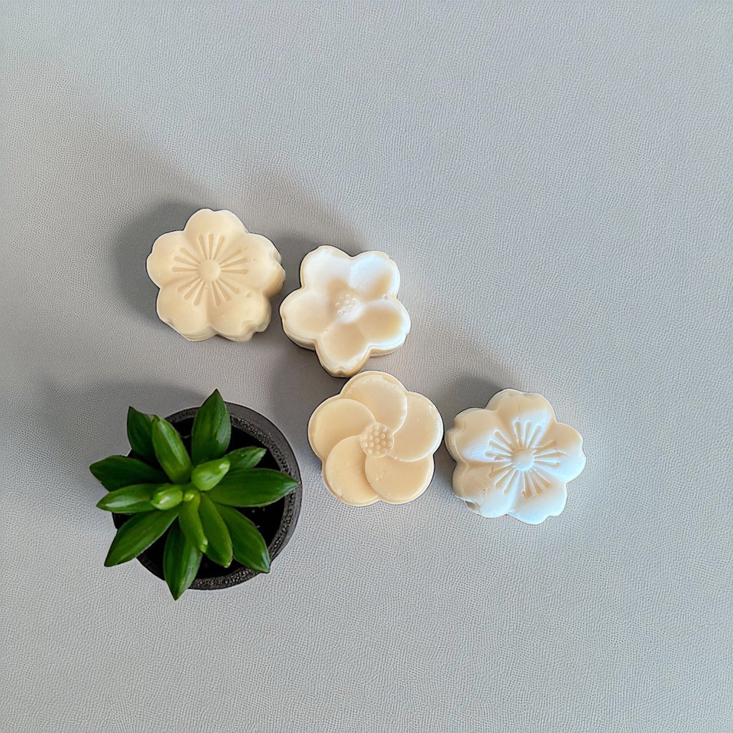 Bar Soap